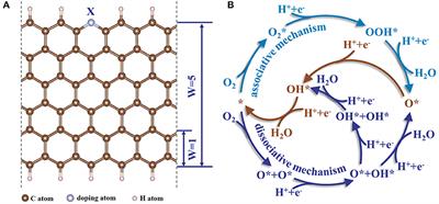 Detrimental Effects and Prevention of Acidic Electrolytes on Oxygen Reduction Reaction Catalytic Performance of Heteroatom-Doped Graphene Catalysts